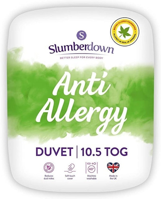 Anti-allergy Duvet 1