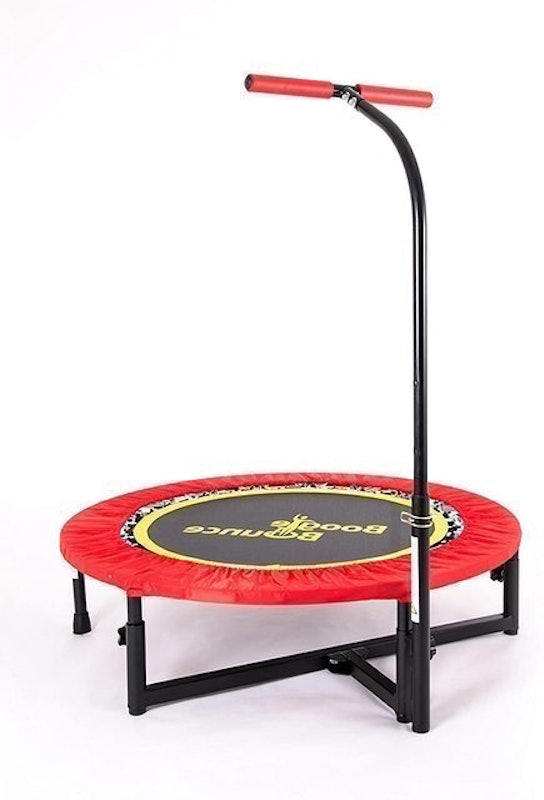 Mini Adult Fitness Trampoline 1
