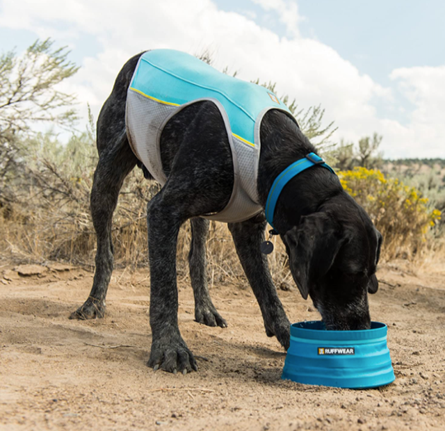 Jet Stream™ Dog Cooling Vest 4