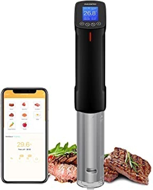 Cooker Immersion Circulator 1