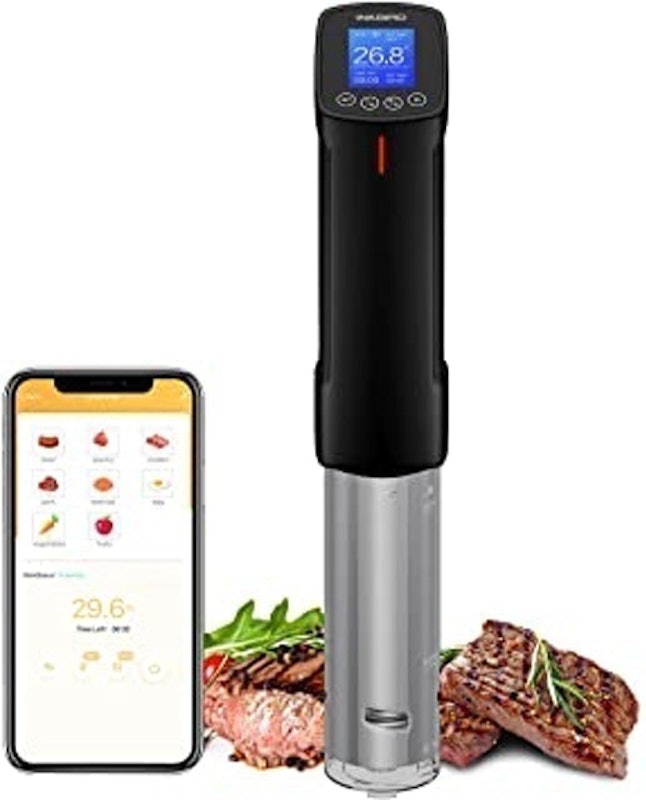 Cooker Immersion Circulator 1