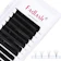 Fadlash Easy Fan Lashes 1