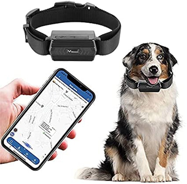 Best dog tracker discount uk