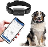 10 Best Dog GPS Trackers UK 2024 | Tractive, Pawfit and More 4