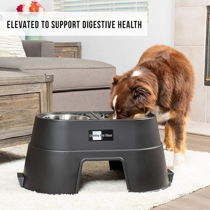Comfort Feeder 2