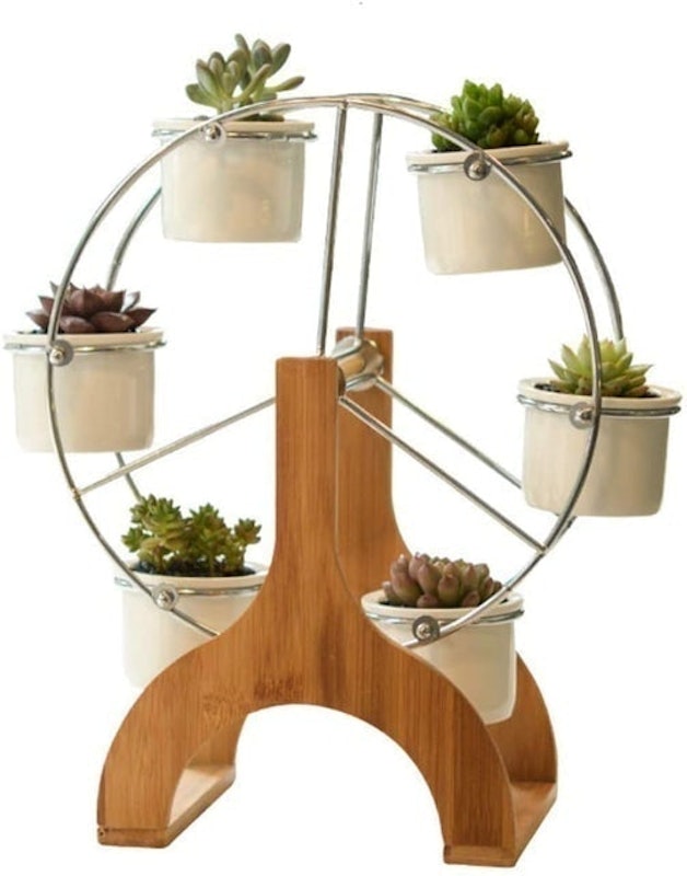 Ferris Wheel Succulent Plant Stand 1