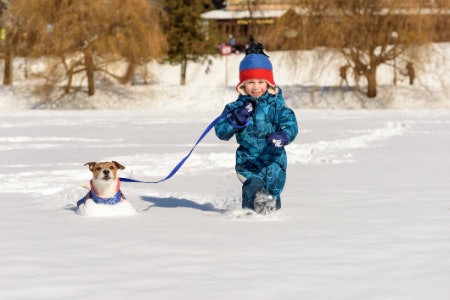 Choose a High Boot for Wading Through Deep Snow