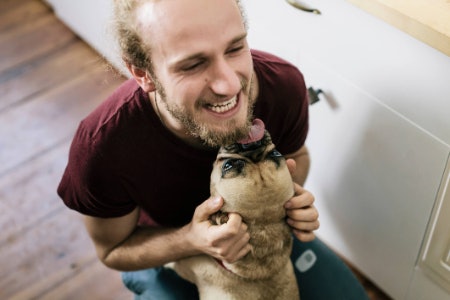Worming Tablets Are an Effective Treatment, While Liquid, Paste or Granule Wormers May Be Better for Fussy Dogs