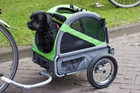 If You Want a Versatile Option, Go for Strollers That Double as Bike Trailers and Carriers