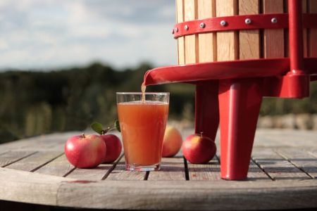 Go For Raw Apple Cider Vinegars - They Are Not Processed or Filtered and Preserve the Most Important Ingredients