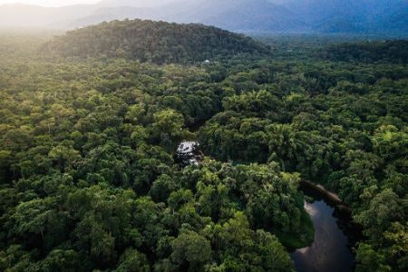 Palm Oil Has Links to Deforestation and Climate Change: Avoid if Possible