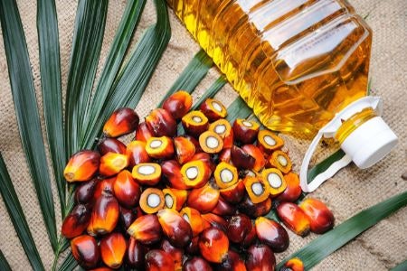 Palm Oil Is an Environmentally Controversial Product, Try to Avoid Unless It’s Sustainable