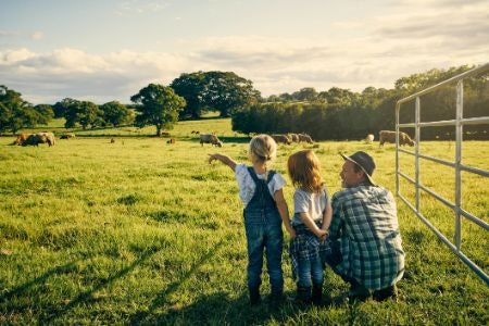 If You’re After for a Top Quality Product, Go for Organic Butter Made With Just a Few Ingredients From a Farm That Practices Higher Welfare Standards