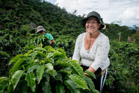Go For Decaf Coffee From Indonesia, Africa and Latin America if You Are Looking to Sample Complex Flavour Profiles