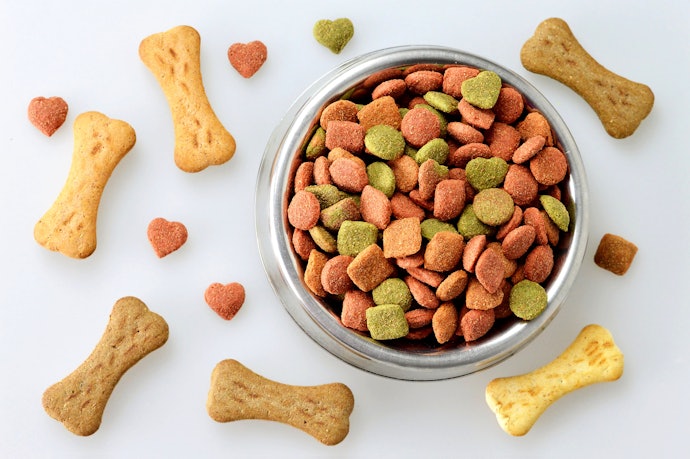 Dry vs Wet Food: If Your Dog Is Struggling to Eat, Wet Food Is More Gentle on Sensitive Teeth and Stomachs
