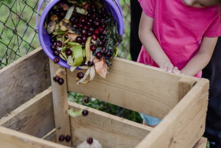 Look Into the Way in Which Your Pod Composts