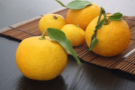 Consider Fruit Flavoured Sake With Peach if You Like Sweet Drinks, or Yuzu for Tart Citrus Flavours