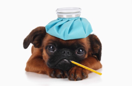 Look for Common Side Effects Like Vomiting and Diarrhoea