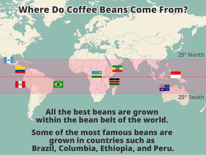 Find Out Where Your Coffee Comes From