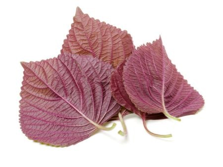 Choose Shiso for a Unique, Herbaceous Flavour Experience