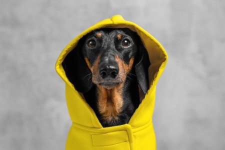 Adjustable Hoods and Sleeves Provide a More Secure Fit