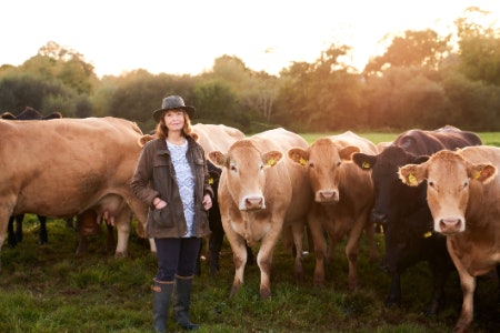 Choose an Organic Stock With Real Ingredients if You Want to Shop and Eat Consciously