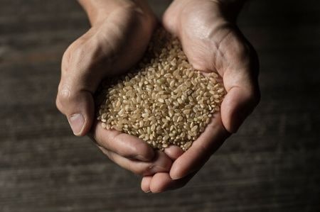 Genmai Brown Rice Offers Superior Nutritional Benefits