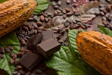 Certified Organic Chocolate Is Better for the Environment