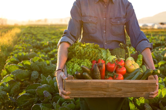 Look for Organic Soups if Quality Matters to You