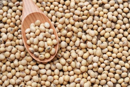 Get Your Vitamin D Fix With a Soy Based Yogurt