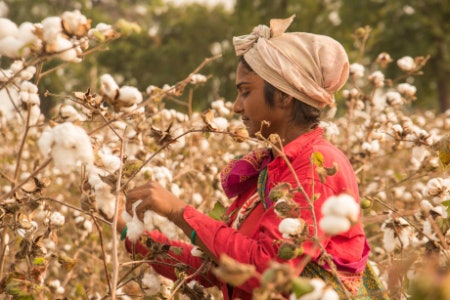 Cotton Is Breathable and Hypoallergenic