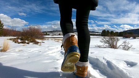 Comfort Features: What You Need to Look For