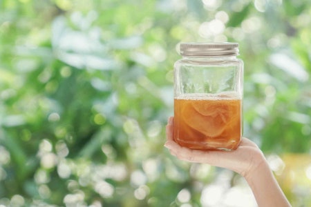 Dipping Your Toes Into Kombucha Production? A Simple Batch Brew Could Be Best