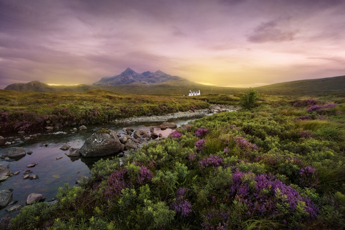 Highland, Speyside and Lowland Whiskies Are Lighter and More Approachable for Newbies
